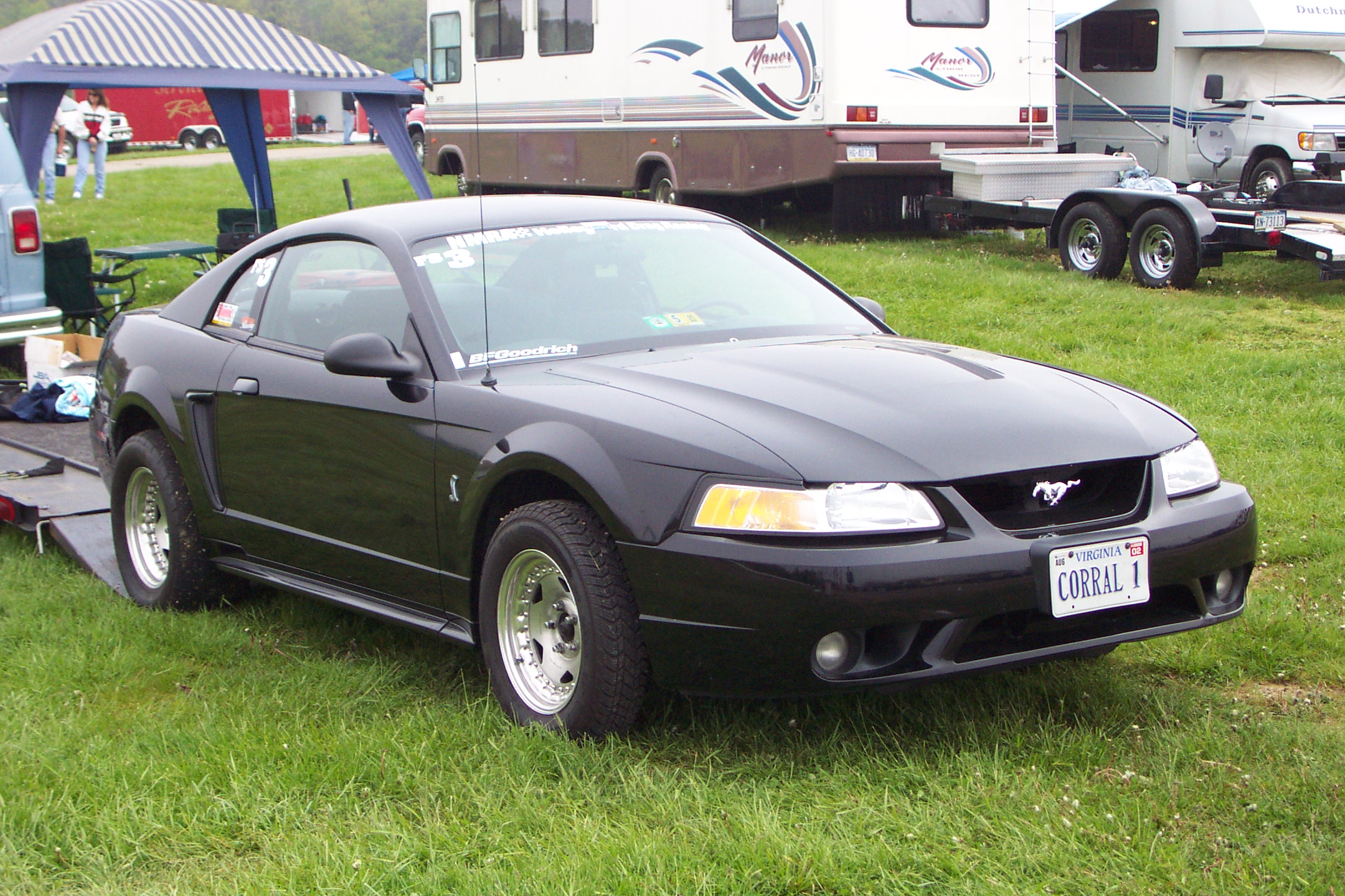 picture255.jpg
